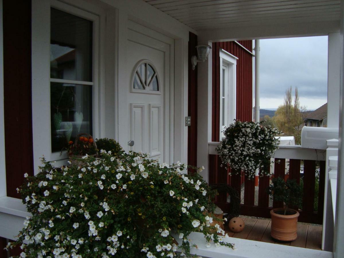 Haus Nordlicht Apartamento Horn-Bad Meinberg Exterior foto